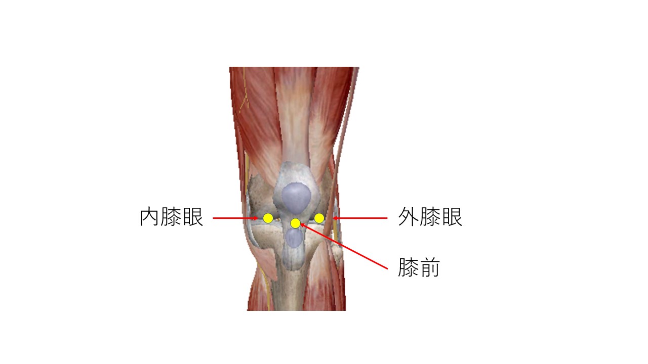 内・外膝眼、膝前