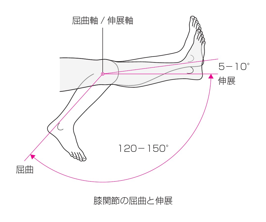 膝関節屈伸可動域 